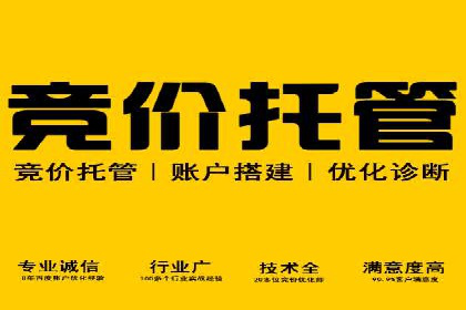 行业精英的SEM竞价经验与案例分享